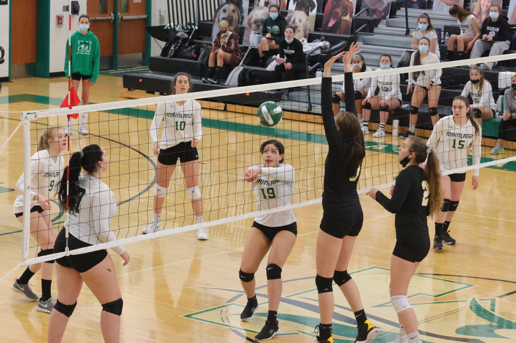 Mainland vs ACIT volleyball